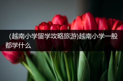 （越南小学留学攻略旅游)越南小学一般都学什么