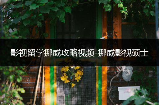 影视留学挪威攻略视频-挪威影视硕士