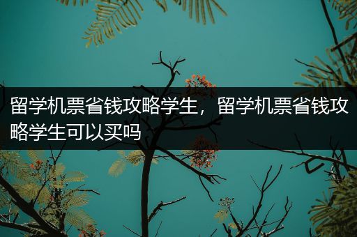 留学机票省钱攻略学生，留学机票省钱攻略学生可以买吗