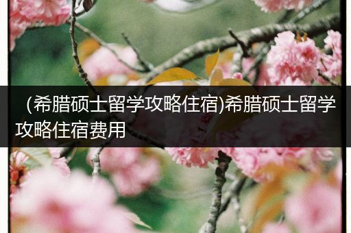 （希腊硕士留学攻略住宿)希腊硕士留学攻略住宿费用