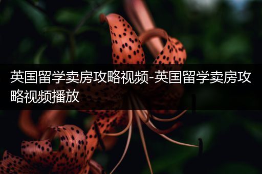 英国留学卖房攻略视频-英国留学卖房攻略视频播放