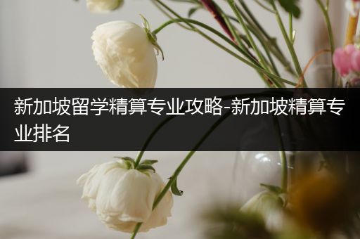 新加坡留学精算专业攻略-新加坡精算专业排名