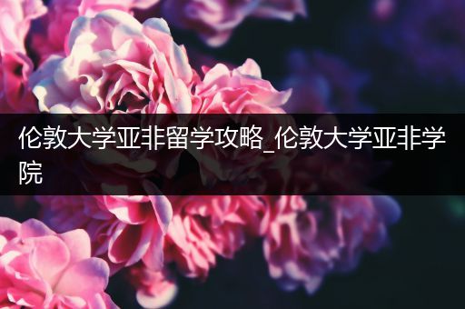 伦敦大学亚非留学攻略_伦敦大学亚非学院