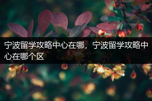 宁波留学攻略中心在哪，宁波留学攻略中心在哪个区