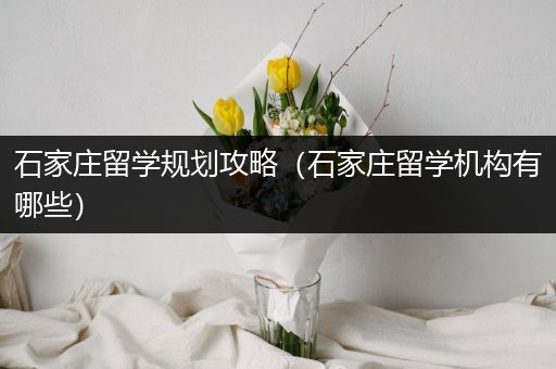 石家庄留学规划攻略（石家庄留学机构有哪些）