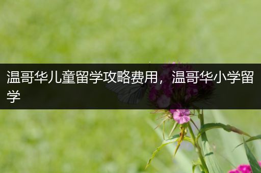 温哥华儿童留学攻略费用，温哥华小学留学