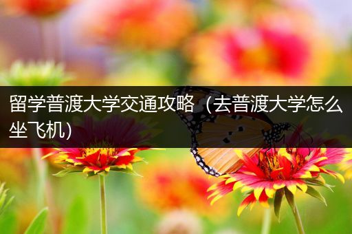 留学普渡大学交通攻略（去普渡大学怎么坐飞机）