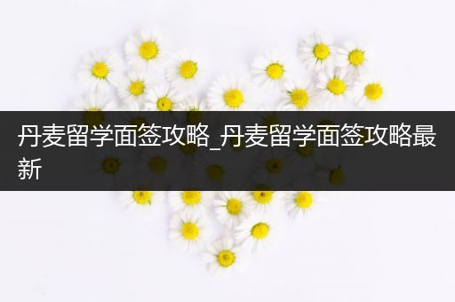 丹麦留学面签攻略_丹麦留学面签攻略最新