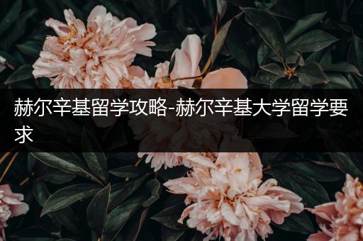 赫尔辛基留学攻略-赫尔辛基大学留学要求
