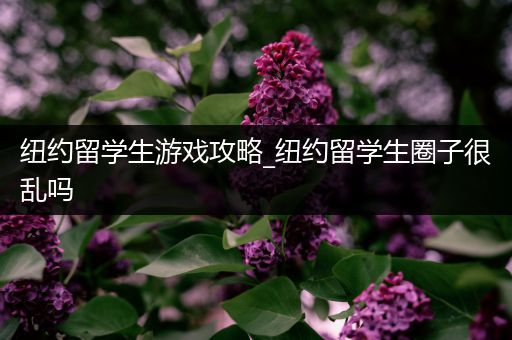 纽约留学生游戏攻略_纽约留学生圈子很乱吗