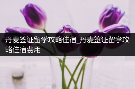 丹麦签证留学攻略住宿_丹麦签证留学攻略住宿费用