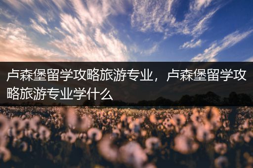 卢森堡留学攻略旅游专业，卢森堡留学攻略旅游专业学什么