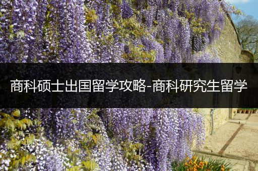 商科硕士出国留学攻略-商科研究生留学