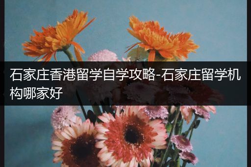 石家庄香港留学自学攻略-石家庄留学机构哪家好