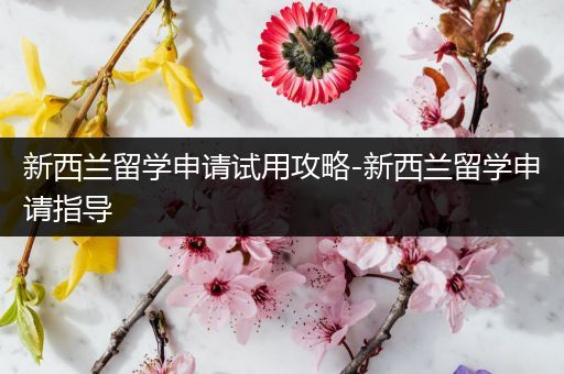 新西兰留学申请试用攻略-新西兰留学申请指导