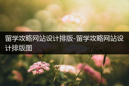 留学攻略网站设计排版-留学攻略网站设计排版图