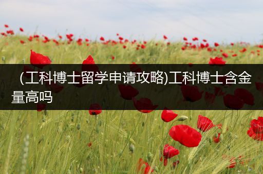 （工科博士留学申请攻略)工科博士含金量高吗