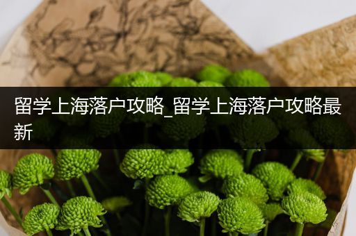 留学上海落户攻略_留学上海落户攻略最新