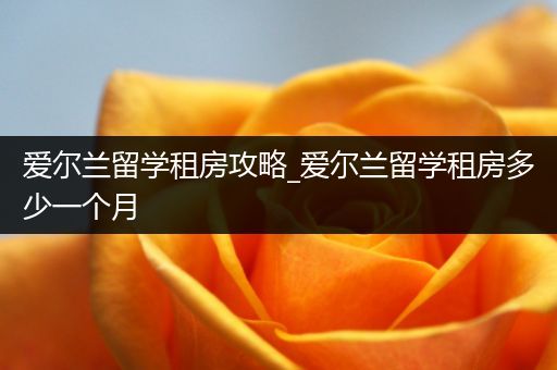 爱尔兰留学租房攻略_爱尔兰留学租房多少一个月