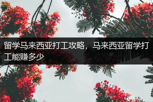 留学马来西亚打工攻略，马来西亚留学打工能赚多少