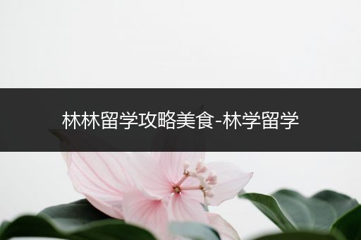 林林留学攻略美食-林学留学