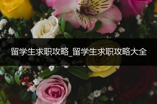 留学生求职攻略_留学生求职攻略大全