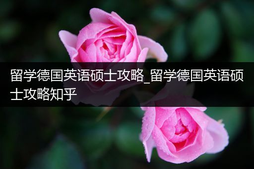 留学德国英语硕士攻略_留学德国英语硕士攻略知乎