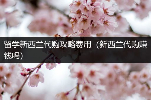 留学新西兰代购攻略费用（新西兰代购赚钱吗）