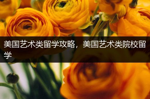 美国艺术类留学攻略，美国艺术类院校留学