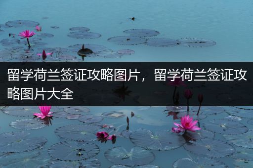 留学荷兰签证攻略图片，留学荷兰签证攻略图片大全