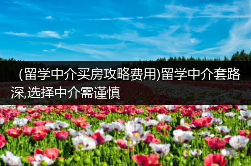 （留学中介买房攻略费用)留学中介套路深,选择中介需谨慎