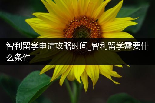 智利留学申请攻略时间_智利留学需要什么条件