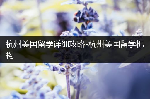 杭州美国留学详细攻略-杭州美国留学机构