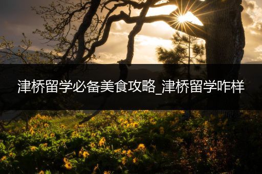 津桥留学必备美食攻略_津桥留学咋样