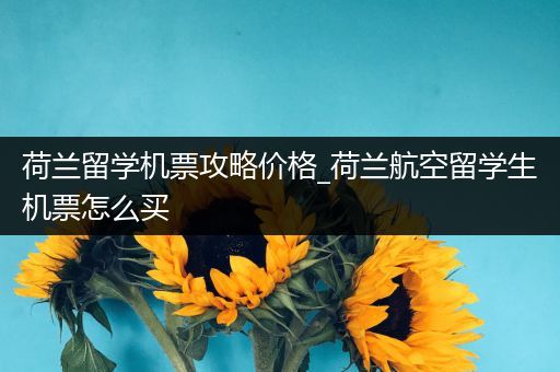 荷兰留学机票攻略价格_荷兰航空留学生机票怎么买