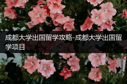 成都大学出国留学攻略-成都大学出国留学项目