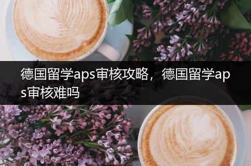 德国留学aps审核攻略，德国留学aps审核难吗