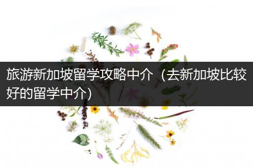 旅游新加坡留学攻略中介（去新加坡比较好的留学中介）