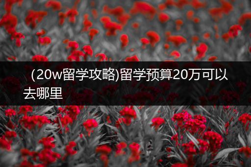 （20w留学攻略)留学预算20万可以去哪里