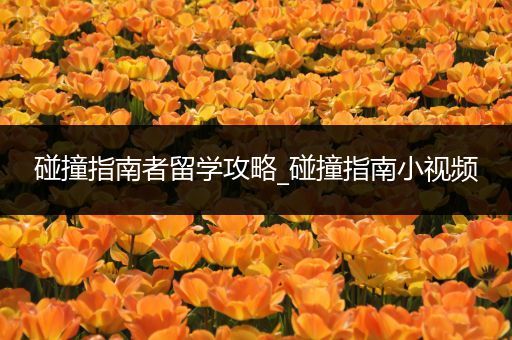 碰撞指南者留学攻略_碰撞指南小视频
