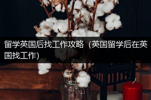 留学英国后找工作攻略（英国留学后在英国找工作）