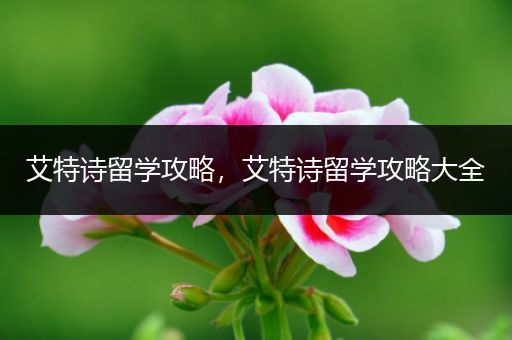 艾特诗留学攻略，艾特诗留学攻略大全