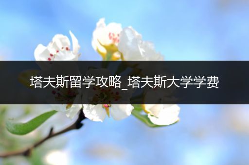 塔夫斯留学攻略_塔夫斯大学学费