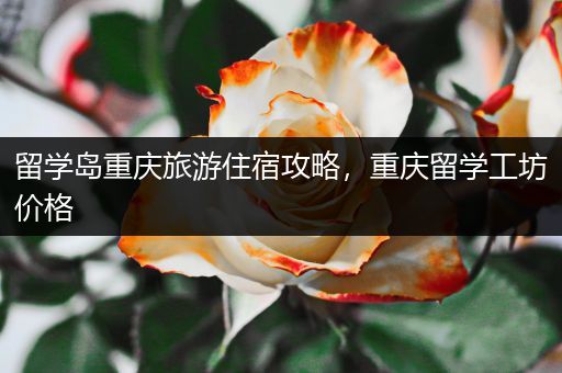 留学岛重庆旅游住宿攻略，重庆留学工坊价格
