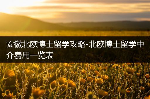 安徽北欧博士留学攻略-北欧博士留学中介费用一览表