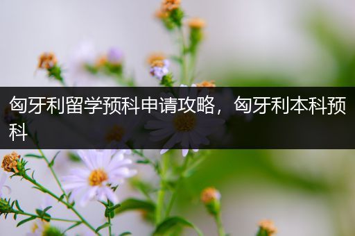 匈牙利留学预科申请攻略，匈牙利本科预科