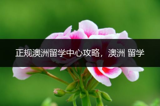 正规澳洲留学中心攻略，澳洲 留学