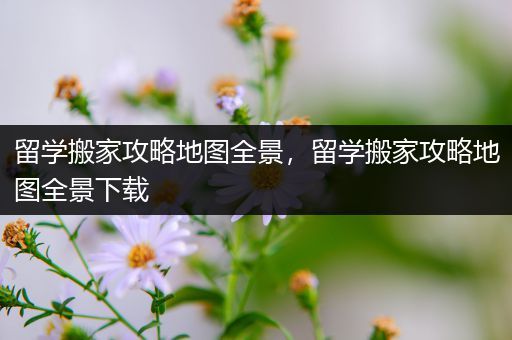 留学搬家攻略地图全景，留学搬家攻略地图全景下载