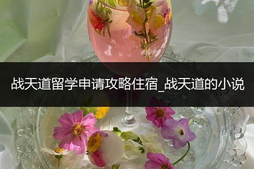 战天道留学申请攻略住宿_战天道的小说