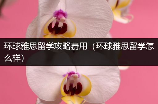环球雅思留学攻略费用（环球雅思留学怎么样）
